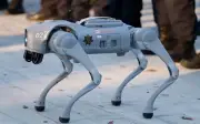 Perros Robot Vigilarán Sedes del Mundial 2026 en México para Proteger a la Policía