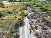 Profepa ejecuta doble operativo en Yucatán contra ocupación ilegal de manglares