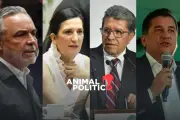 Reforma Electoral Divide a Diputados de Morena y PVEM en el Congreso