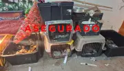 Rescatan 102 animales en Tultepec; detienen a mujer por presunto maltrato