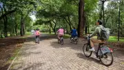 Rodada por la Amistad: CDMX celebra el Día del Amor con ruta ciclista cultural