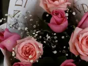 SADER Jalisco proyecta aumento del 25% en venta de rosas para el Día del Amor y la Amistad