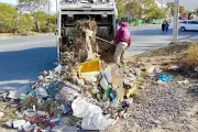 Santa Catarina retira 97 toneladas de basura en operativo de limpieza masiva