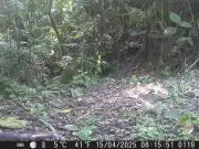 Santuario del Bosque de Niebla: Un Refugio de Vida Silvestre en Xalapa