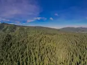 Sedema advierte sanciones por cobros ilegales en Desierto de los Leones