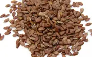 Semillas de Lino: El Tesoro Nutricional que Supera al Salmón y la Avena