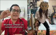 Therians: El fenómeno que domina las redes con memes y polémica en Latinoamérica