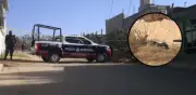 Tultepec vive con miedo por hallazgo de tres cuerpos embolsados en colonias