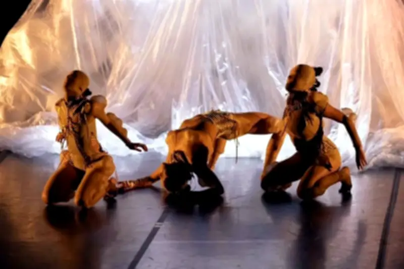 Coreógrafas Mexicanas Demandan Reconocimiento de su Territorio en la Danza Nacional