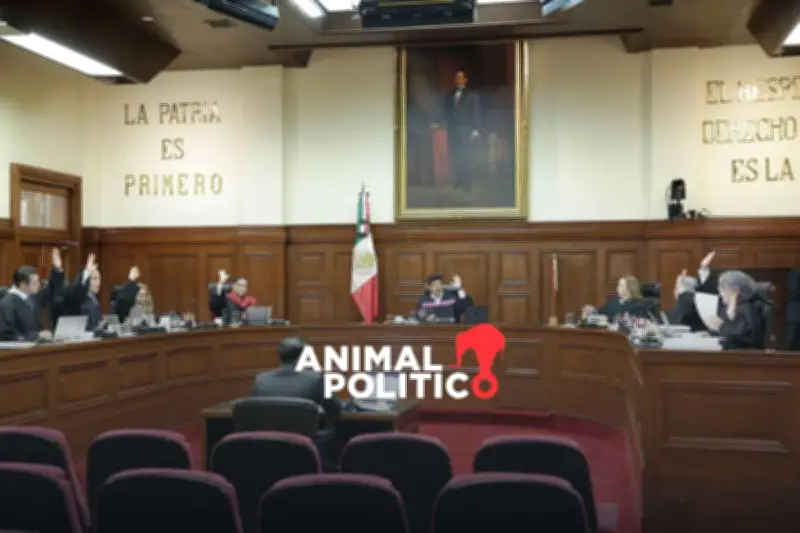 Corte otorga amparo a Walmart contra impuesto a productos de gestión menstrual