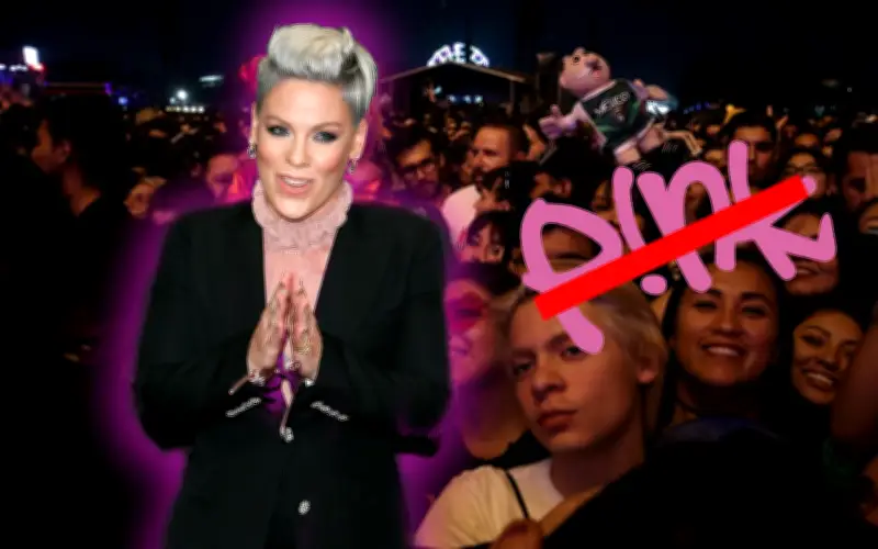 Pink cancela su esperado regreso a México tras más de una década de ausencia