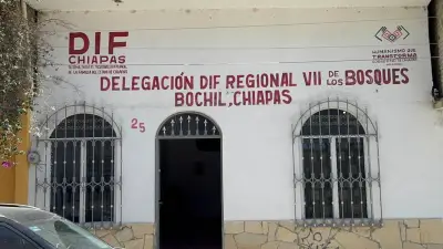 Alarma en Chiapas por Embarazo de Niña de 11 Años Tras Abuso Sexual