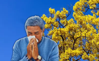 Alergias en Guadalajara: ¿Por qué son más severas y afectan a adultos mayores?