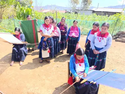 Artesanas Tsotsiles de Chiapas Exigen Pago de Más de 500 Mil Pesos a Promotor de Moda