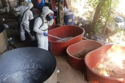 Autoridades decomisan 300 kilogramos de metanfetamina en la Costa Grande de Guerrero