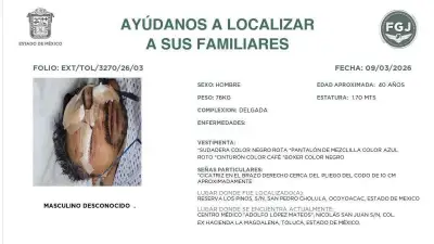Buscan familiares de hombre atacado por leones en refugio de Ocoyoacac, Edomex