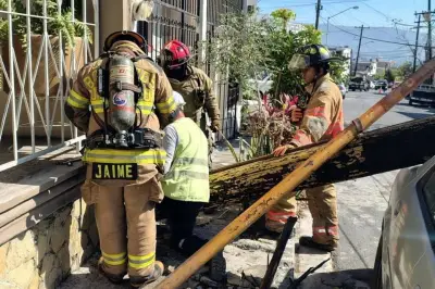 Camión derriba poste y transformador de CFE en accidente vial