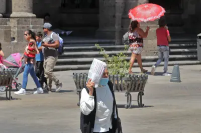 Canícula 2026: Estos estados mexicanos podrían superar los 45 grados de temperatura