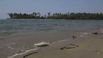 Capitanía de Puerto restringe operaciones en Dos Bocas tras incendio en refinería Olmeca