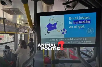 CDHCM lanza campaña contra abusos en el Mundial de Fútbol