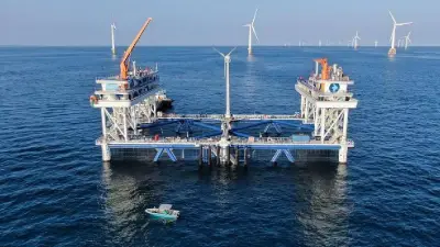 China impulsa su descarbonización con innovación tecnológica en energía y acuicultura