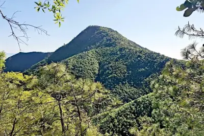 Chipinque implementa actividad sensorial para conectar a visitantes con la naturaleza