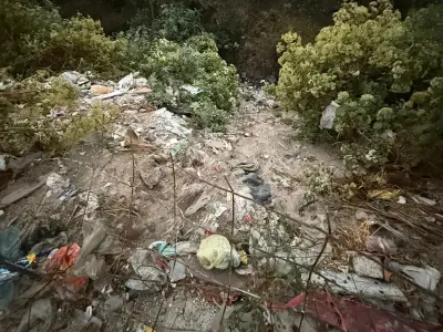 Ciudad de México recupera 2,890 m² en Barranca Jalalpa tras retiro masivo de residuos