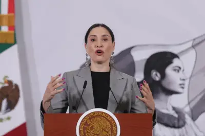 Colección Gelman: Salida temporal, regreso en 2028 y restauración garantizada