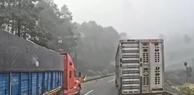 Comando finge ser cuadrilla de mantenimiento y roba camión con ganado en Veracruz