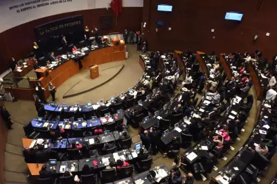 Consejeros del INE denuncian desconocer documento del 'plan B' enviado al Senado