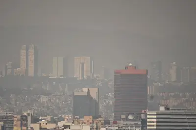 Contingencia Ambiental Activa Doble Hoy No Circula en CDMX y Edomex para el 11 de Marzo