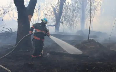Controlan incendio forestal en Bosque El Centinela de Zapopan; afectó 3 hectáreas