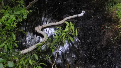 Cordones Oleofílicos: La Tecnología Clave para Contener el Derrame Petrolero en el Golfo de México