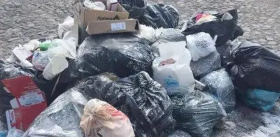 Crisis de Basura en Tláhuac: Vecinos Sufren Malos Olores y Fauna Nociva