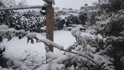Cuarta Tormenta Invernal Azotará México con Nieve y Heladas Intensas