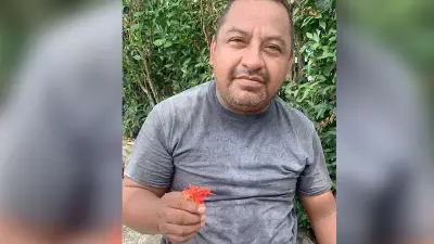 Defensor chatino y su hermano desaparecen tras ataque de civiles armados en Oaxaca