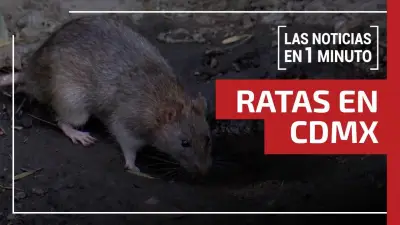 Derrame de crudo y violencia escolar marcan las noticias del 24 de marzo de 2026