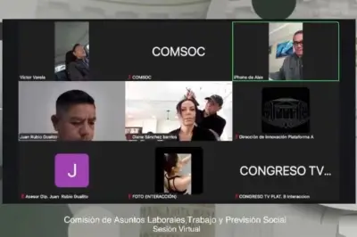 Diputados en Sesión Virtual: Uno Conduce y Otro desde Estética