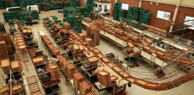 Empresas Mexicanas Apuestan por Fortalecer el T-MEC ante Revisión Trilateral