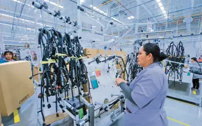 Empresas mexicanas en riesgo por pólizas de seguros desactualizadas ante nuevos criterios internacionales