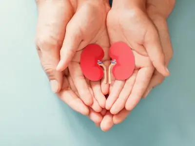 Enfermedad Renal Crónica: El Silencioso Reto de Salud que Afecta a 13 Millones en México