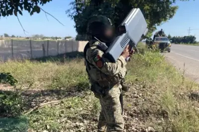 Enfrentamiento en Sinaloa: Marina abate a un presunto delincuente en Dautillos