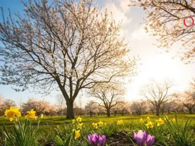 Equinoccio de Primavera 2026: Hora Exacta y Significado en México