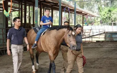 Equinoterapia gratuita en Guadalajara: Niños con discapacidad reciben terapia con caballos