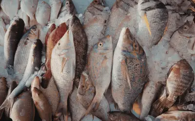 ¿Es Seguro Comer Piel de Pescado? Beneficios y Riesgos Nutricionales