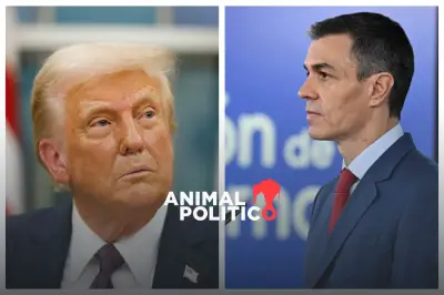 España reafirma su rechazo a la guerra: 'No seremos cómplices' del conflicto con Irán