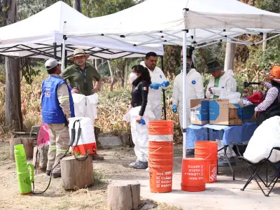 FGJCDMX localiza 155 microfragmentos óseos en segunda fase de excavación en Panteón Dolores