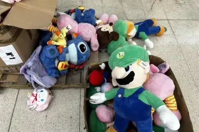 FGR intensificará operativos contra piratería tras entrada en vigor del T-MEC