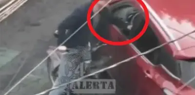 Francés agrede a conductora en CDMX tras conflicto por carril de bicicletas