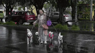 Frente Frío 41 Provoca Lluvias Intensas y Vientos Fuertes en Varios Estados